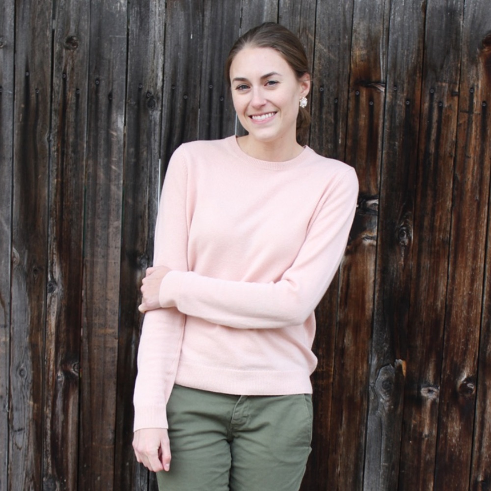 Everlane The Cashmere Crew Light Pink Sweater